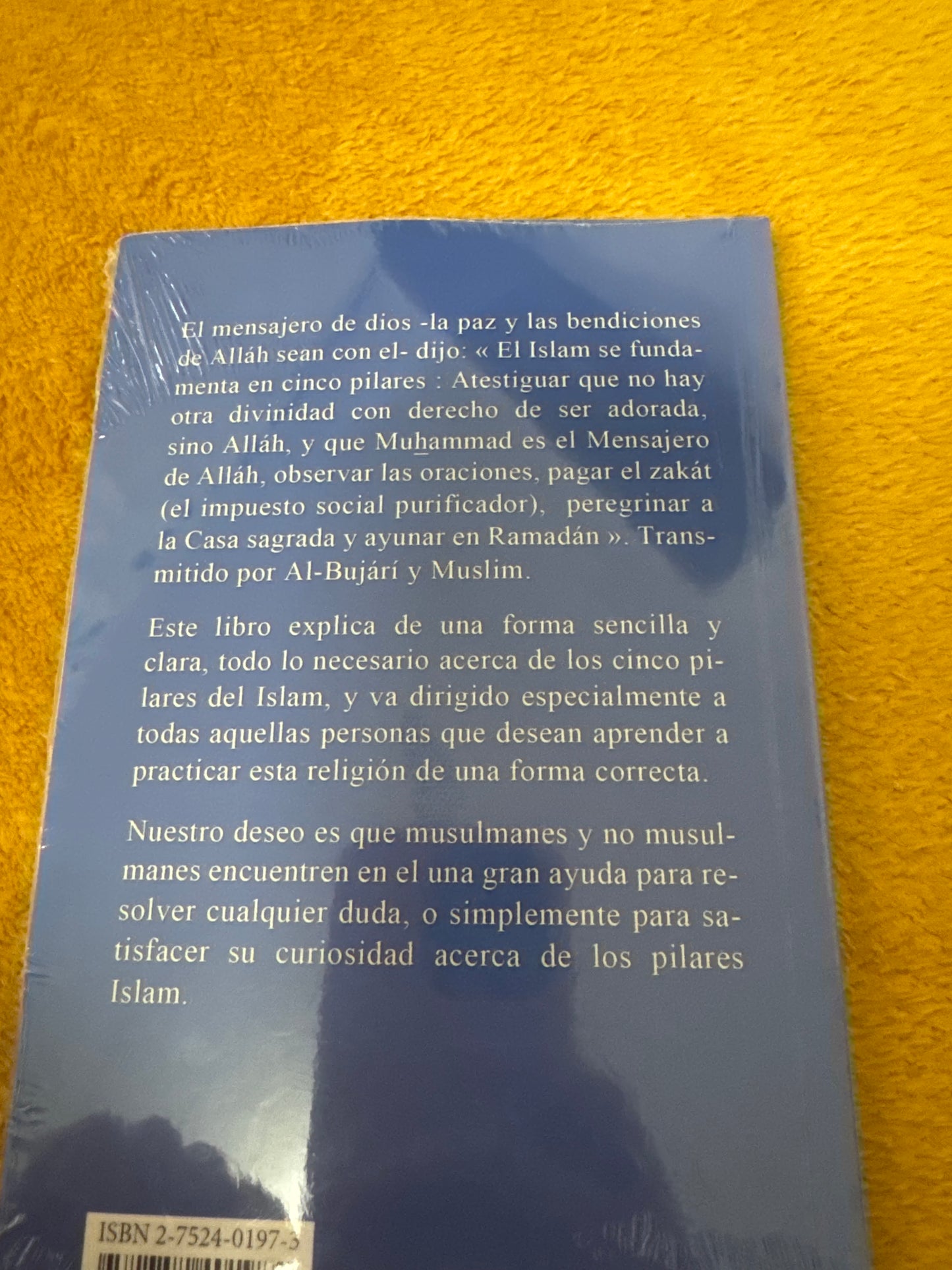 Cinco pilares del islam